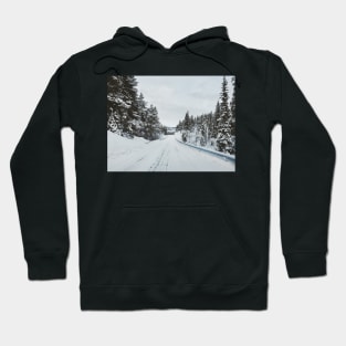 White Winter in Scandinavia - Remote Road Through Fir Tree Forest Hoodie